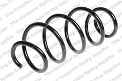 Coil spring LS4095090