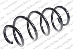Coil spring LS4095091_1
