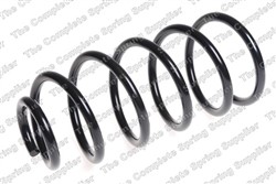 Coil spring LS4095093_1