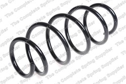 Coil spring LS4095101
