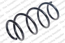 Coil spring LS4095155