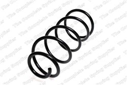 Coil spring LS4095834_1