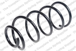 Coil spring LS4095847_1