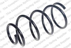Coil spring LS4095863