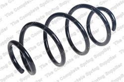 Coil spring LS4095865