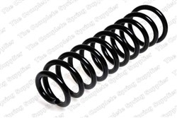 Coil spring LS4204210_1