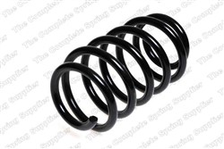Coil spring LS4204221