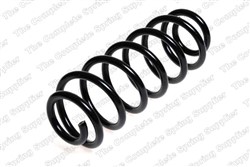 Coil spring LS4204238
