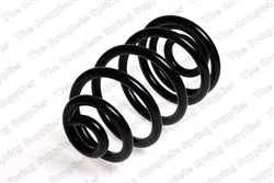 Coil spring LS4204246_1