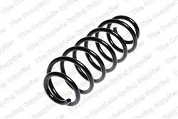 Coil spring LS4204248