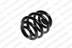 Coil spring LS4204249