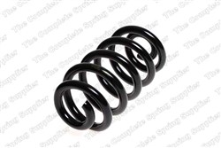 Coil spring LS4204252