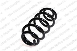 Coil spring LS4204253_0