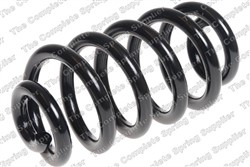 Coil spring LS4204281_1