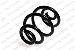 Coil spring LS4208431_1
