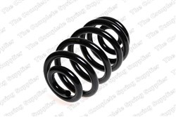 Coil spring LS4208450_1