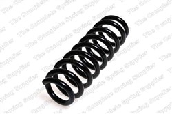 Coil spring LS4208455