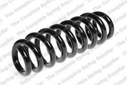 Coil spring LS4208461