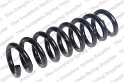 Coil spring LS4208519