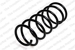 Coil spring LS4226102