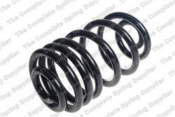 Coil spring LS4226179