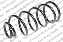 Coil spring LS4244229_0