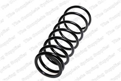 Coil spring LS4255434