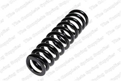 Coil spring LS4256860