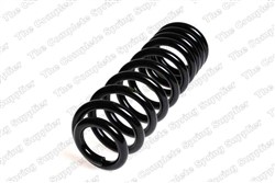 Coil spring LS4256870_1