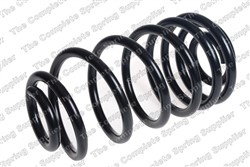 Coil spring LS4256911_1