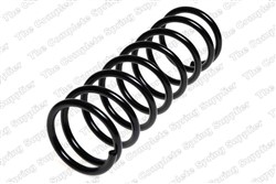 Coil spring LS4262019