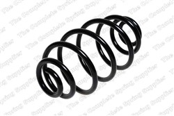 Coil spring LS4263455_1