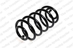 Coil spring LS4263456