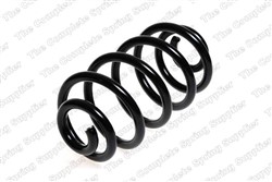 Coil spring LS4263461_1
