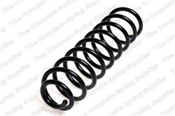 Coil spring LS4282902