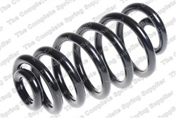 Coil spring LS4282930_1