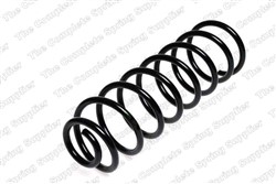 Coil spring LS4295016_1