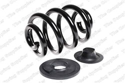 Coil spring LS4295019_1