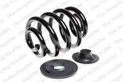Coil spring LS4295020