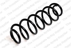 Coil spring LS4295038_1