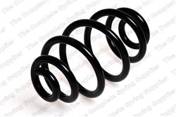 Coil spring LS4295042_1