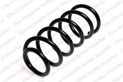 Coil spring LS4295048