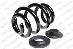 Coil spring LS4295050_1