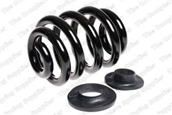 Coil spring LS4295060