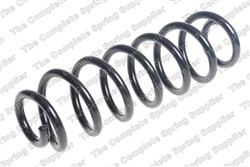 Coil spring LS4295135_1