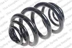 Coil spring LS5295020_0