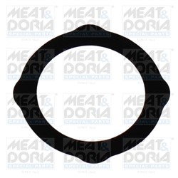 EGR vožtuvo tarpinė MEAT & DORIA MD016264