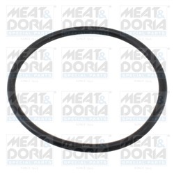 Thermostat gasket MD01663