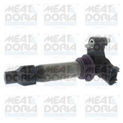 Ignition Coil MD10813
