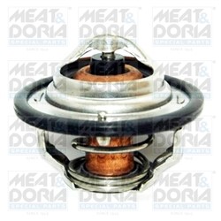 termostatas, aušinimo skystis MEAT & DORIA MD92093